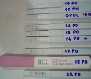 test gravidanza precoce