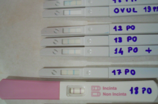 test gravidanza precoce