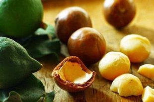 Utilizzo dell'olio di macadamia