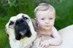 Il rapporto speciale tra bambini e cani