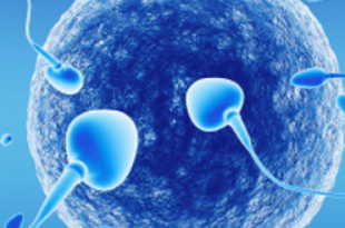 inseminazione artificiale omologa